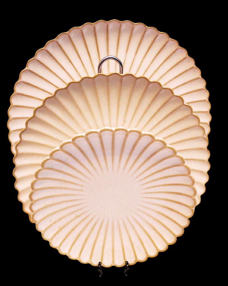 Shell 🐚 shaped plate set