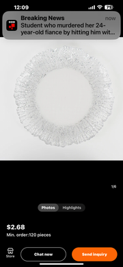 Silver reef glass charger plates